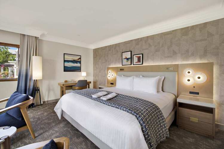 A guest room with one king bed and a desk