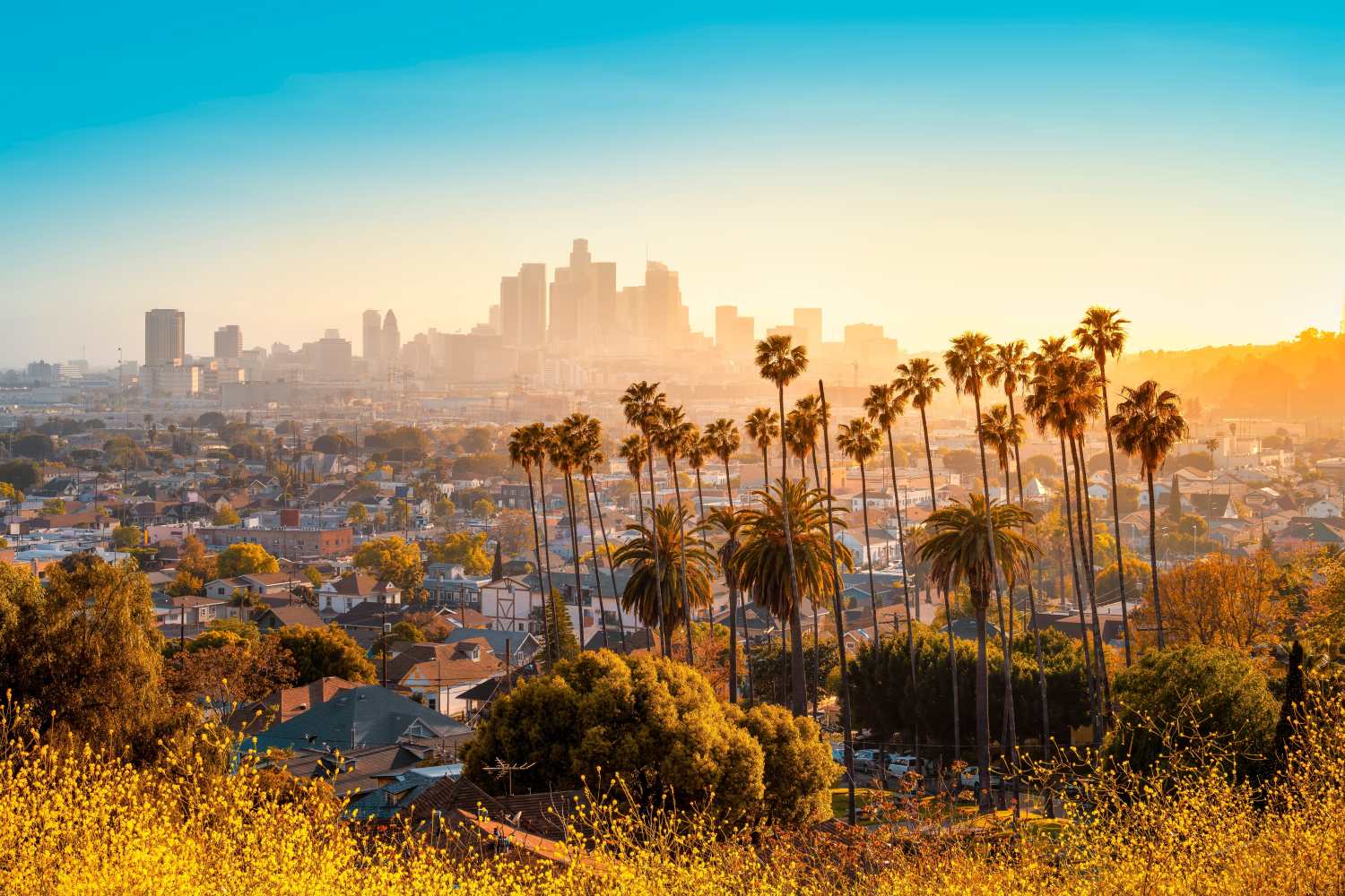 Skyline of Los Angeles, California, during sunset
